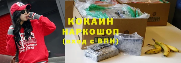 гидропоника Новозыбков