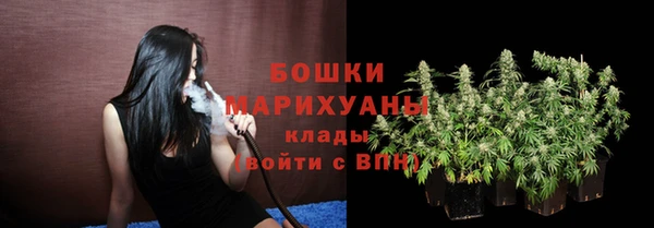 гидропоника Новозыбков