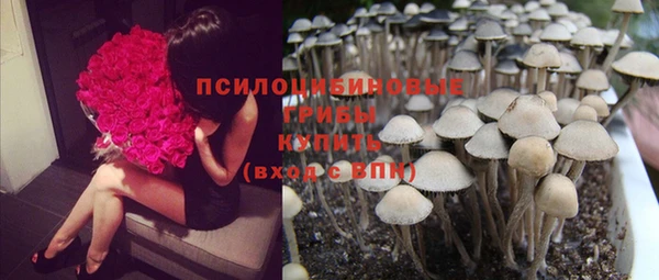mdma Новодвинск